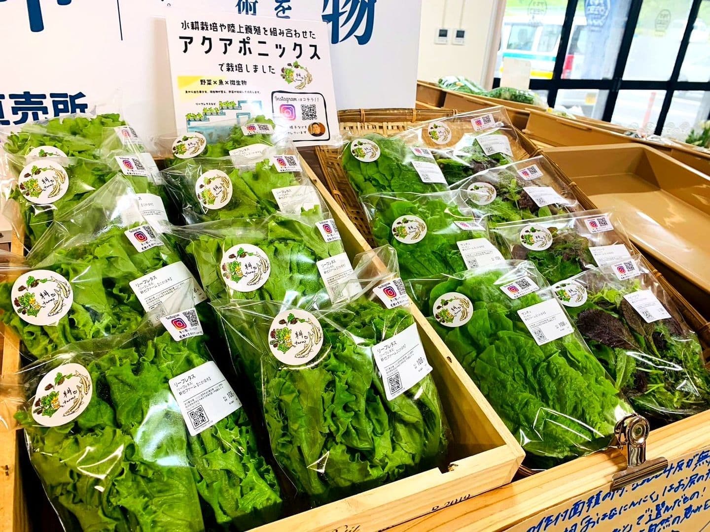 陳列された生産物（野菜）