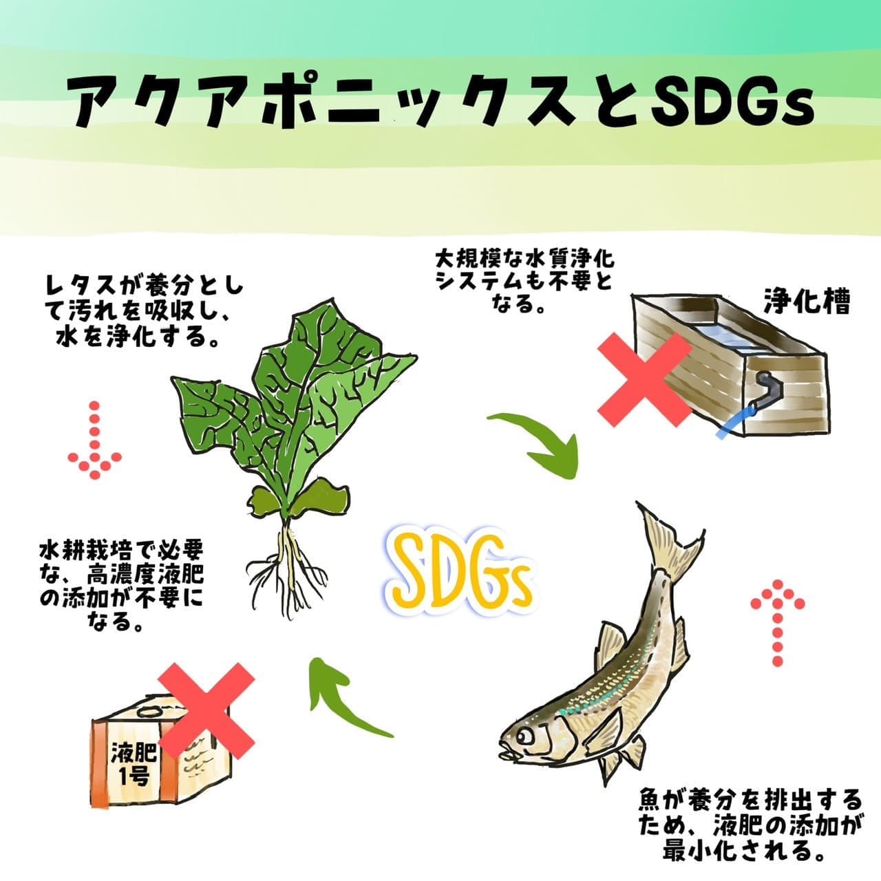 アクアポニックスとSDGｓの関係